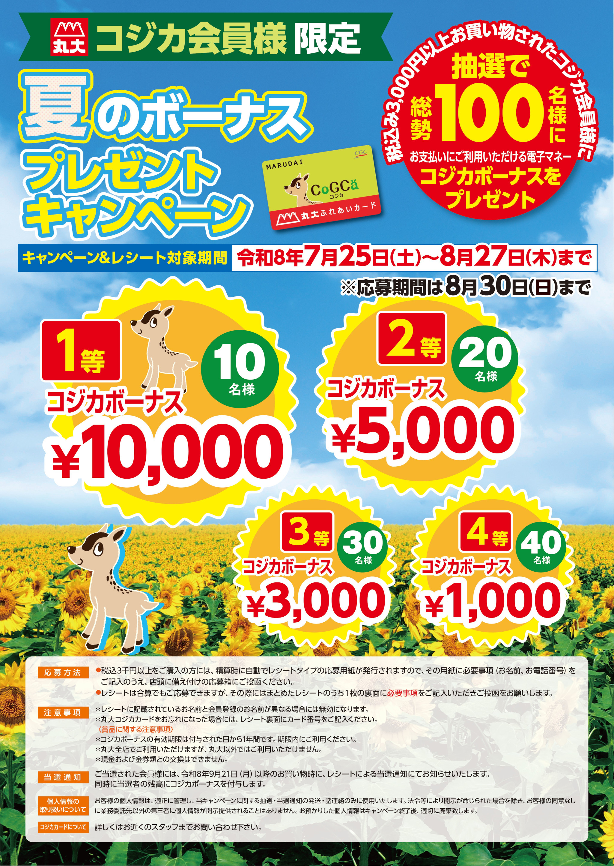 ☆プレゼント付☆ おまとめも大歓迎！ コジカ会員様限定！丸大夏のボーナスプレゼントキャンペーン | 沖縄の